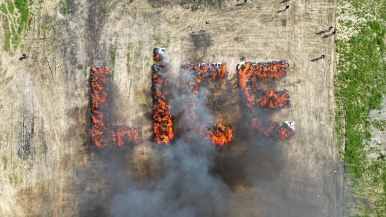 Turkish Town Involuntarily Gets High After Police Burn Over 20 Tons of Confiscated Weed 2 Turkish Town Involuntarily Gets High After Police Burn Over 20 Tons of Confiscated Weed