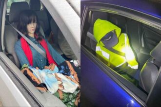 Washington Drivers Busted Using Mannequins in HOV Lanes, One Even Had a Wig and Scarf