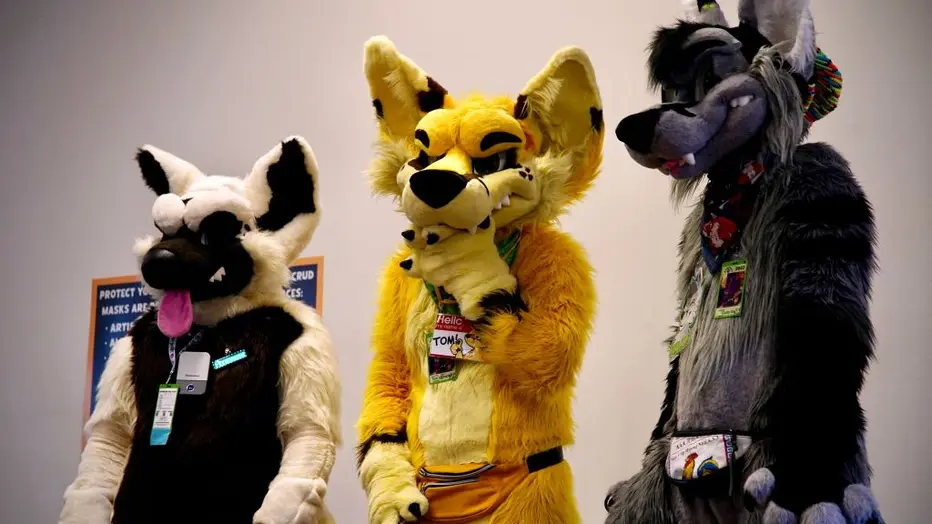 Author of Texas bill to ban 'furries' in schools cannot come up with examples of it happening