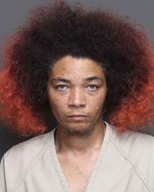Ohio Woman Gets Life for Murder of Girlfriend’s 8-Year-Old son Found in Attic Trash Bag 2 Photo of Johnna Lowe Ohio Woman Gets Life for Murder of Girlfriend’s 8-Year-Old son Found in Attic Trash Bag