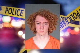 Wisconsin Teen Pleads No Contest in Brutal Attempted Homicide Case