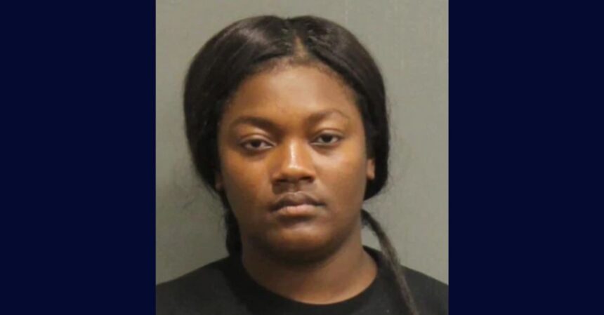 Tennessee Accused of Using Bug Foggers to Evict Family, Including 4-Year-Old