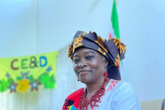 The Inspiring Story of Ambassador Fidelia Graand-Galon: Bridging Continents with Diplomacy and Culture on TownFlex