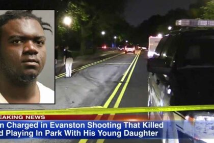 Illinois Man Sentenced to 20 Years for Fatally Shooting Father Playing Pokémon Go With Daughter on TownFlex