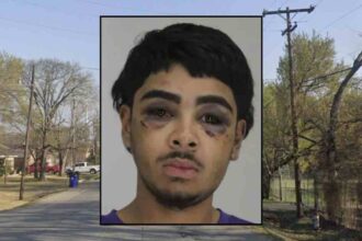 torres arrest 1