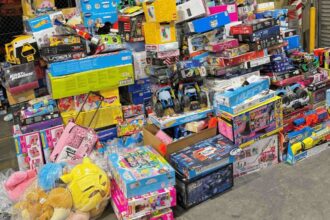 Australian Man Arrested Over $250,000 Lego and Toy Theft in Adelaide on TownFlex