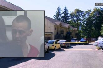 Kimberly Feyhl, 49, accused of killing 43-year-old Richard Schnepf with an ax in Issaquah, WA