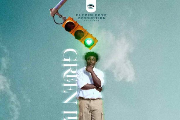 Stonebwoy Greenlight song cover