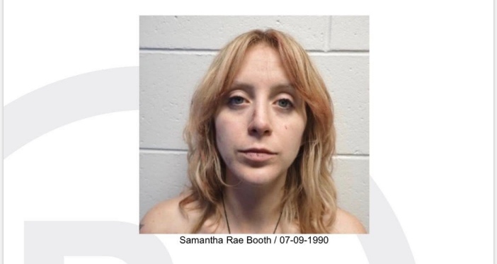 Michigan Nanny Charged With Murder in Brutal Screwdriver Attack on Child’s Grandfather 1 Michigan woman kill grandpa