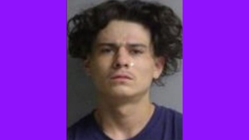 Minnesota Man Sentenced to 25 Years for Chasing Down and Killing Neighbor Over $100 Debt