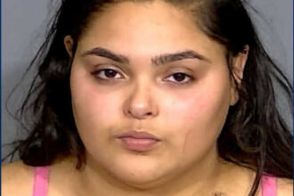 Indiana Woman Charged with Murder After Shooting Driver Who Honked at Her at Traffic Light to move