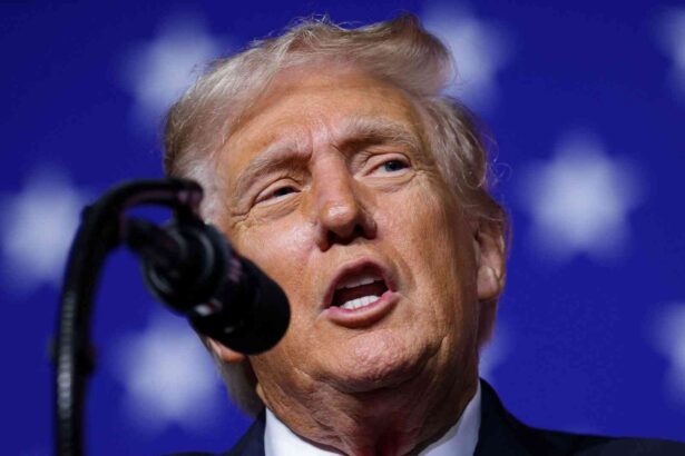 trump democrats call