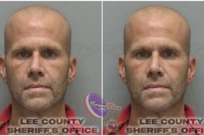 Florida man escaped into a porta potty after trying to run over a construction worker with his own car: