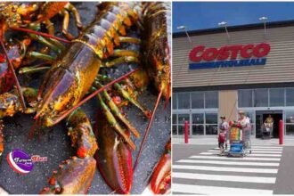 costco lobster