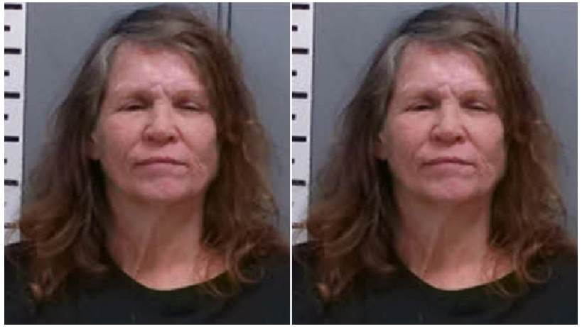 South Carolina woman arrested 1