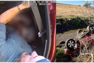 Good Samaritan Saves Mother and 3 Children After Jeep Flips Into Florida Canal