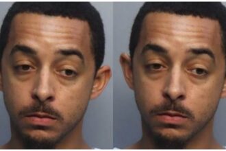 Florida Man humiliates friend by stealing the women they met, then stabs friend 3