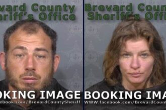 Florida Man, Woman Accused of Forcing Allergic Child to Drink Hot Sauce Because She Put 'Ink' On Cat 5