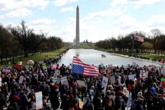 No Kings Protests Sweep US Cities Amid Trump Policy Backlash