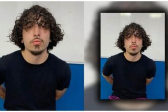 Deepfake Florida crime