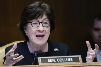 susan Collins