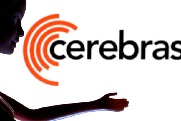 Cerebras 1
