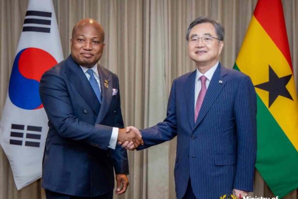 Ghana, South Korea Sign Visa Waiver Deal After Nearly 50 Years For Holders of Diplomatic and Service Passports 9