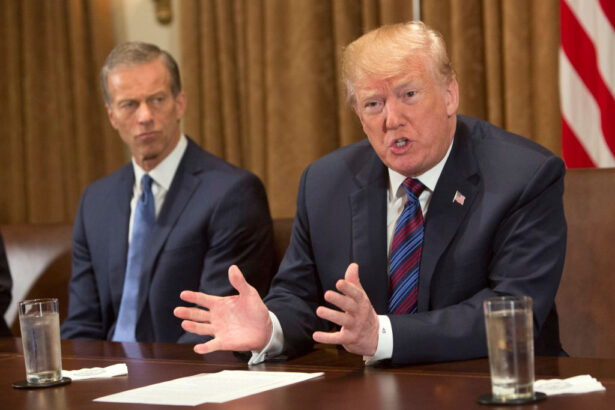 Trump Urges Thune to Fire Senate Parliamentarian Over SAVE Act Vote Rules 15