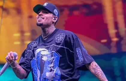Chris Brown Ordered to Pay $13M After Jury Rules in California Dog Attack Lawsuit 4