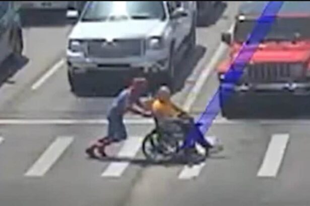 Traffic camera captures real-life Spider-Man's heroic save 11
