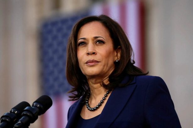 Kamala Harris Names Top Presidents in History but Leaves Biden Off Her List 6