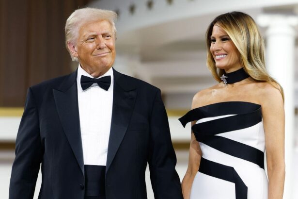 Scaramucci Claims Donald and Melania Trump Are Estranged and Living Apart 7